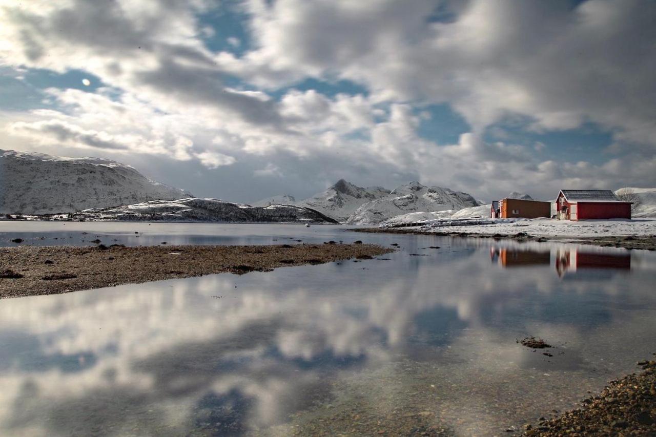 Storjord Farmstay Ranchhouse Kvaloya ภายนอก รูปภาพ