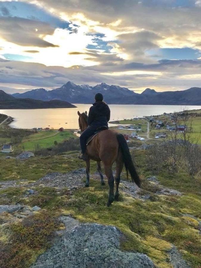 Storjord Farmstay Ranchhouse Kvaloya ภายนอก รูปภาพ