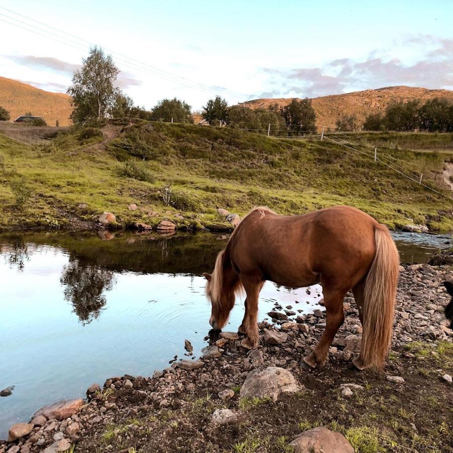 Storjord Farmstay Ranchhouse Kvaloya ภายนอก รูปภาพ