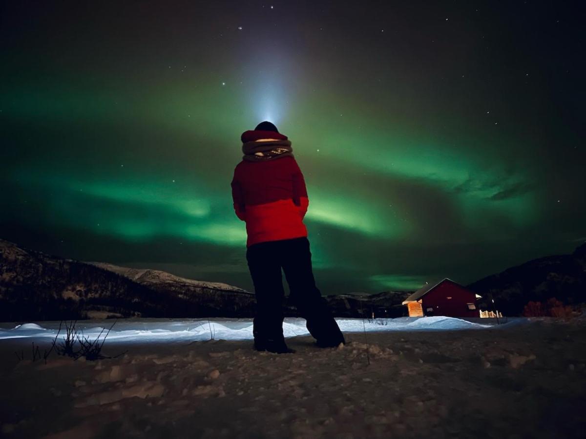 Storjord Farmstay Ranchhouse Kvaloya ภายนอก รูปภาพ