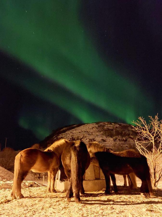 Storjord Farmstay Ranchhouse Kvaloya ภายนอก รูปภาพ