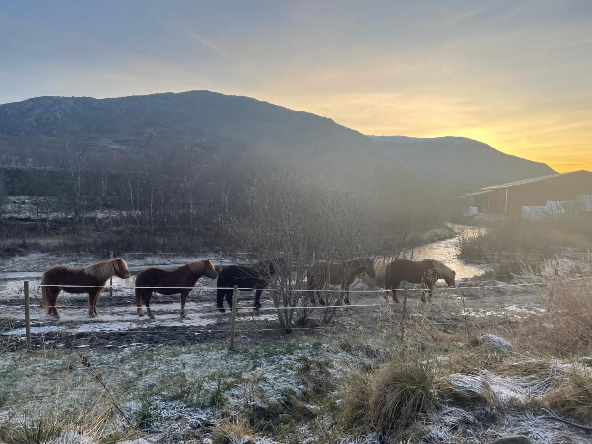 Storjord Farmstay Ranchhouse Kvaloya ภายนอก รูปภาพ